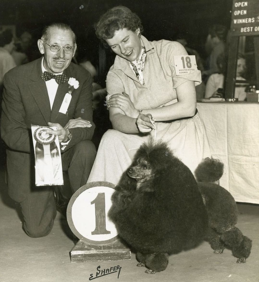 Question of the Week